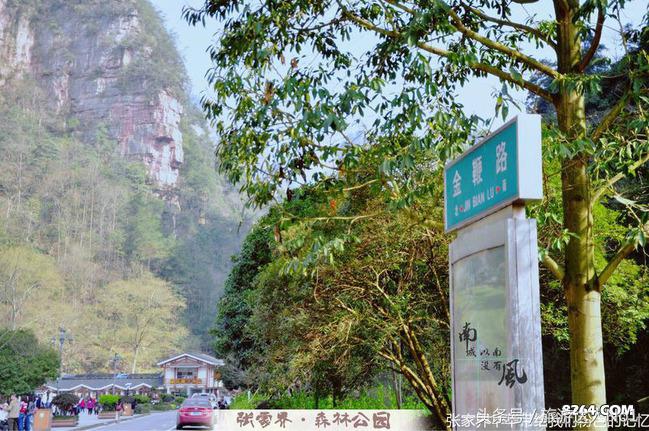 张家界国家森林公园旅游攻略,张家界品质游旅行社旅游攻略