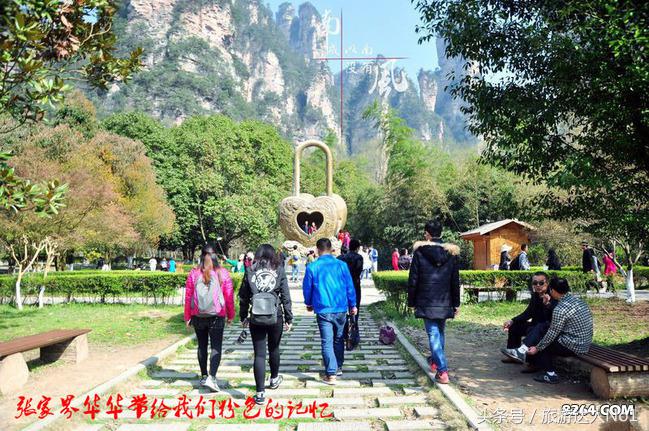 张家界国家森林公园旅游攻略,张家界品质游旅行社旅游攻略