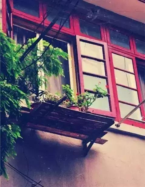 情人节过得好,女票生气少~这份指南请收好,记得艾特自己的男票