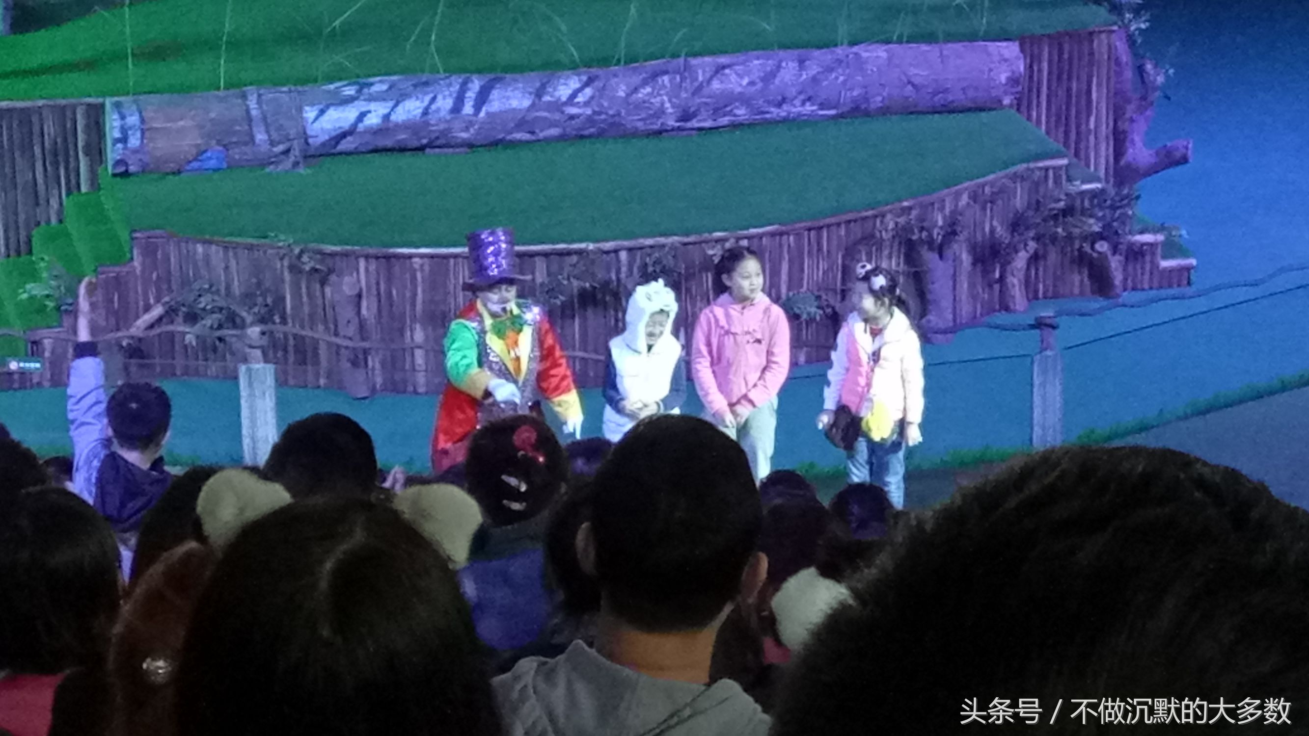 广州长隆野生动物园金蛇秘境直播,长隆野生动物园金蛇秘境害怕吗