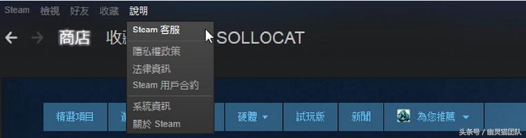 steam怎么退游戏退款需要多久,steam3小时退款