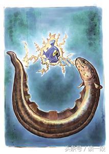 在眼镜被发明之前眼镜蛇叫什么呢,眼镜没发明出来前眼镜蛇叫什么