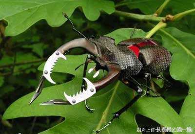 在眼镜被发明之前眼镜蛇叫什么呢,眼镜没发明出来前眼镜蛇叫什么