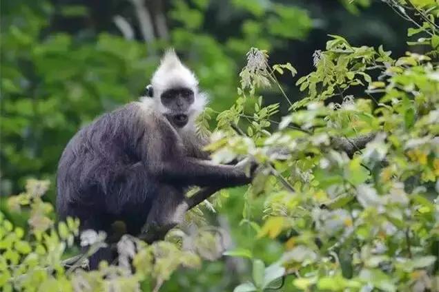 2017年，我在扶绥期待与你相遇