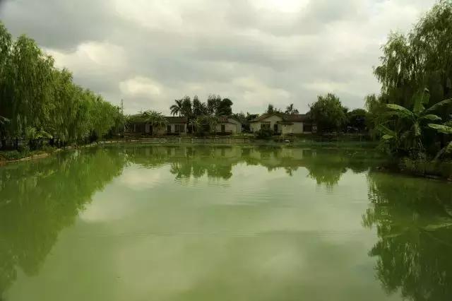 2017年，我在扶绥期待与你相遇