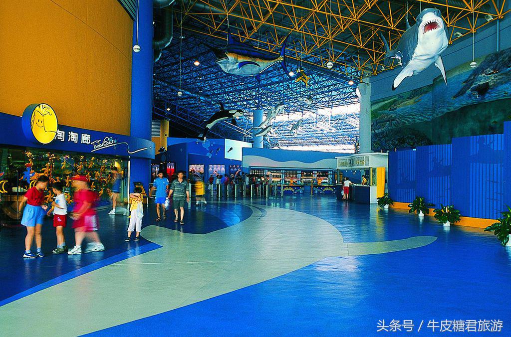 北京工体富国海底世界周边玩乐,北京富国海底世界海洋水族馆