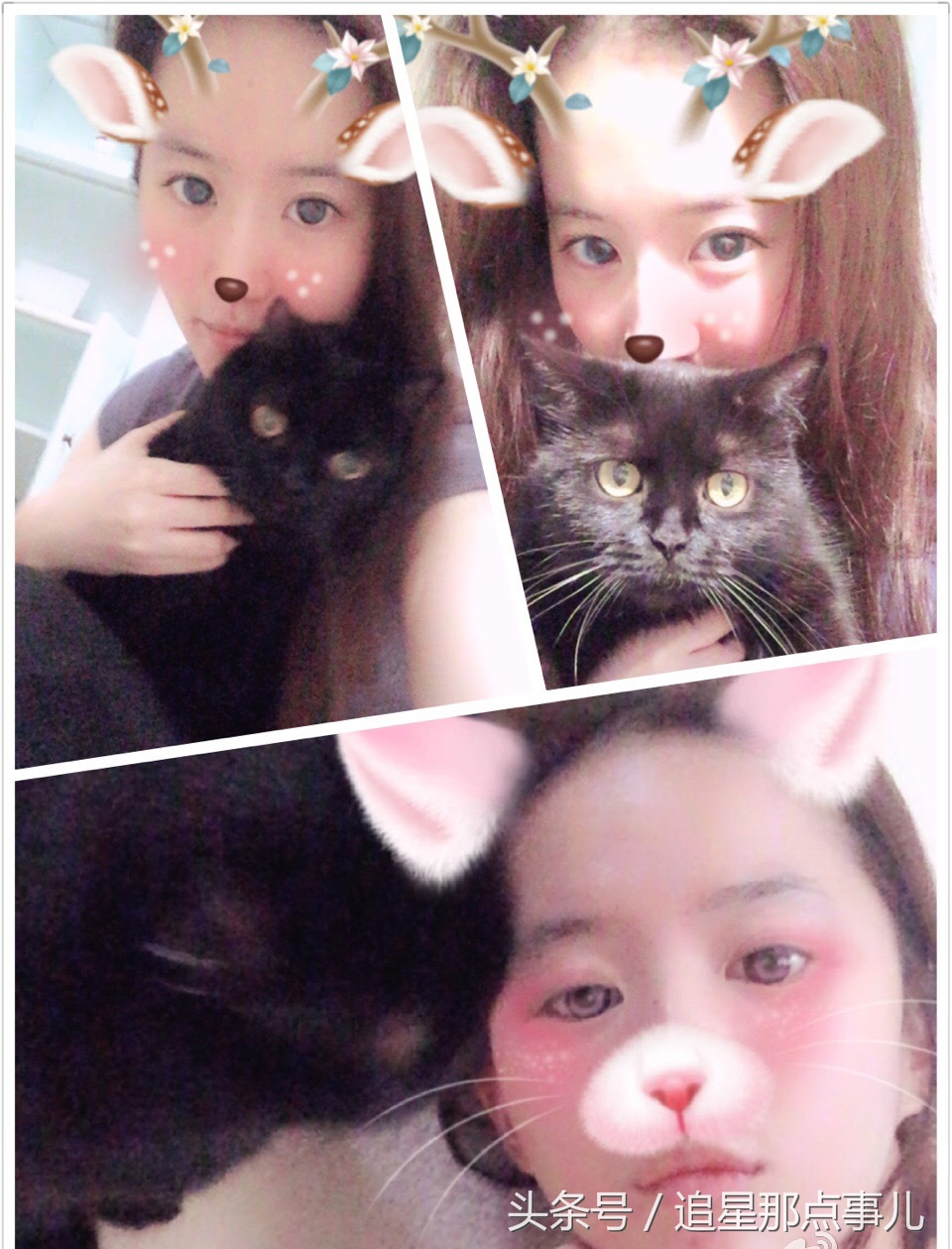 鹿晗胡歌吴磊,鹿晗胡歌葫芦娃