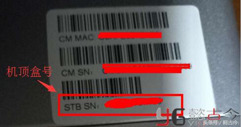 广电网络宽带可以一个月缴费吗,广西广电网络怎么交网费