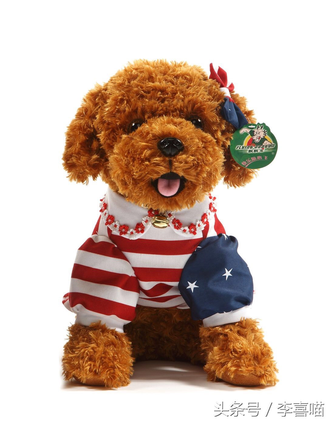 泰迪犬的市场价格和购买时应该注意的事