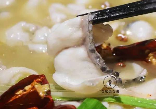 合肥有什么有名的鱼馆,合肥哪家鱼馆最好