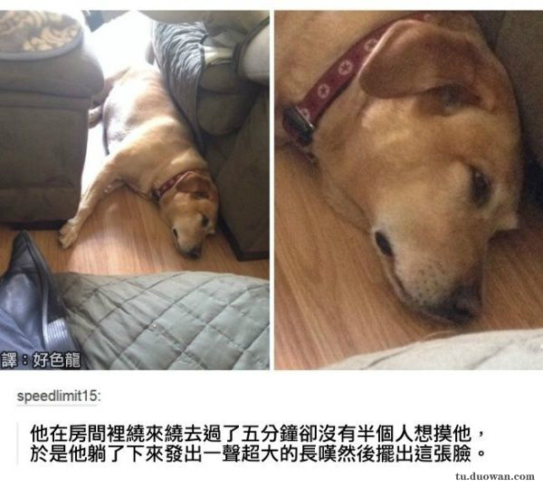 初恋情人为了所谓的爱抛弃婚姻,初恋癌症男子去照顾