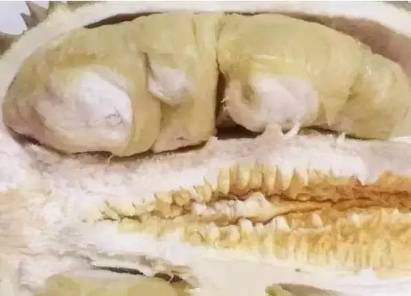 慎--点：这条美味有味道哦……