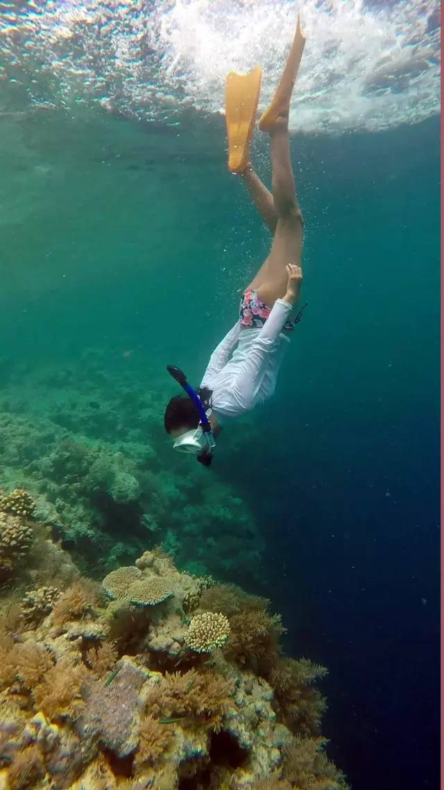 泰国｜涛岛：在海上漂了一年，我终于沉下去了