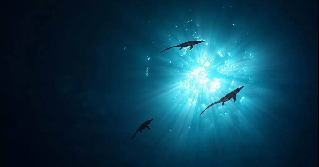 泰国｜涛岛：在海上漂了一年，我终于沉下去了