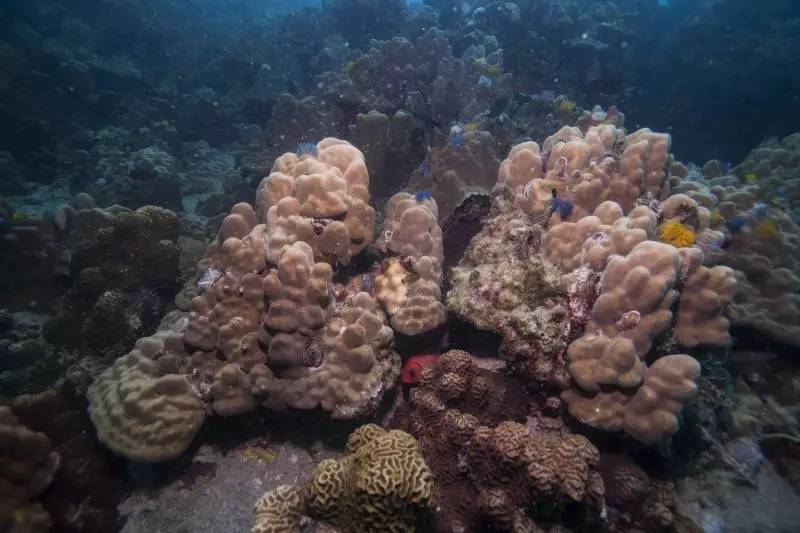 泰国｜涛岛：在海上漂了一年，我终于沉下去了