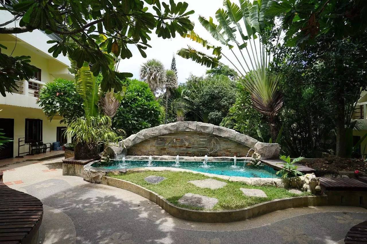 泰国｜涛岛：在海上漂了一年，我终于沉下去了