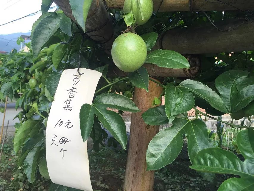 八千里路云和月的上一句,八千里路云和月一骑绝尘