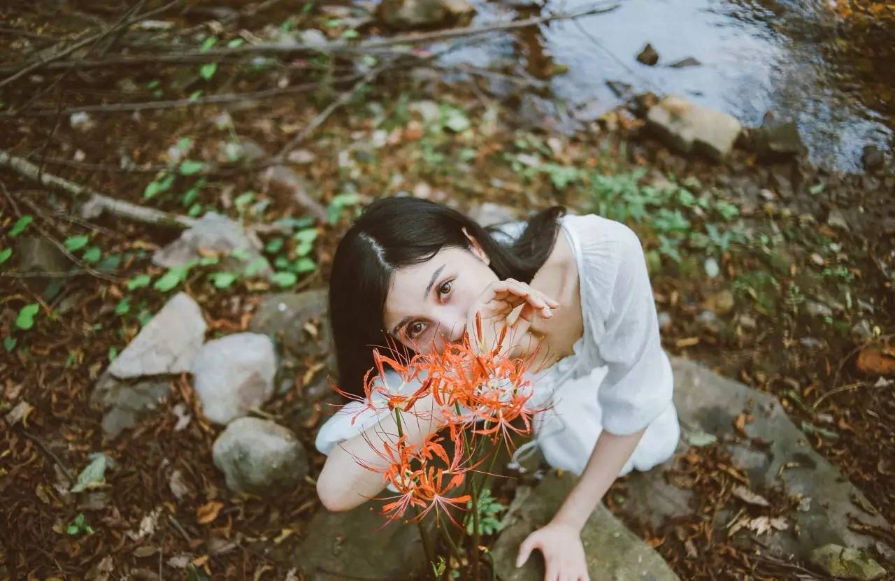 《本草》植物志之彼岸花:开一千年,落一千年,花叶不相见