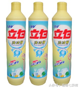 自制白醋杀虫剂家庭养花,家用室内花卉杀虫剂