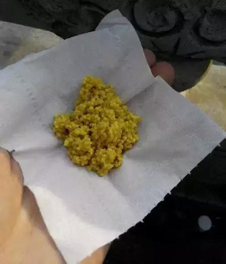 用白萝卜养红虫可以吗,土豆萝卜养红虫