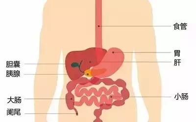 用药提醒:胃痛勿吃止痛药