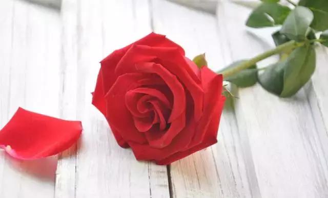 情人节花店必备哪些鲜花,情人节花店送花