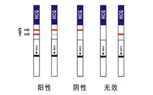 准妈妈用验孕试纸或验孕棒测早孕的二三事