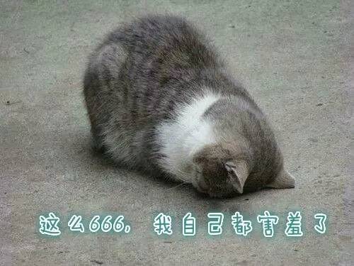 表情包斗图指南,斗图表情包指南