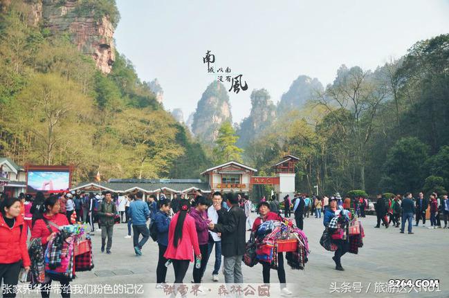 张家界国家森林公园旅游攻略,张家界品质游旅行社旅游攻略