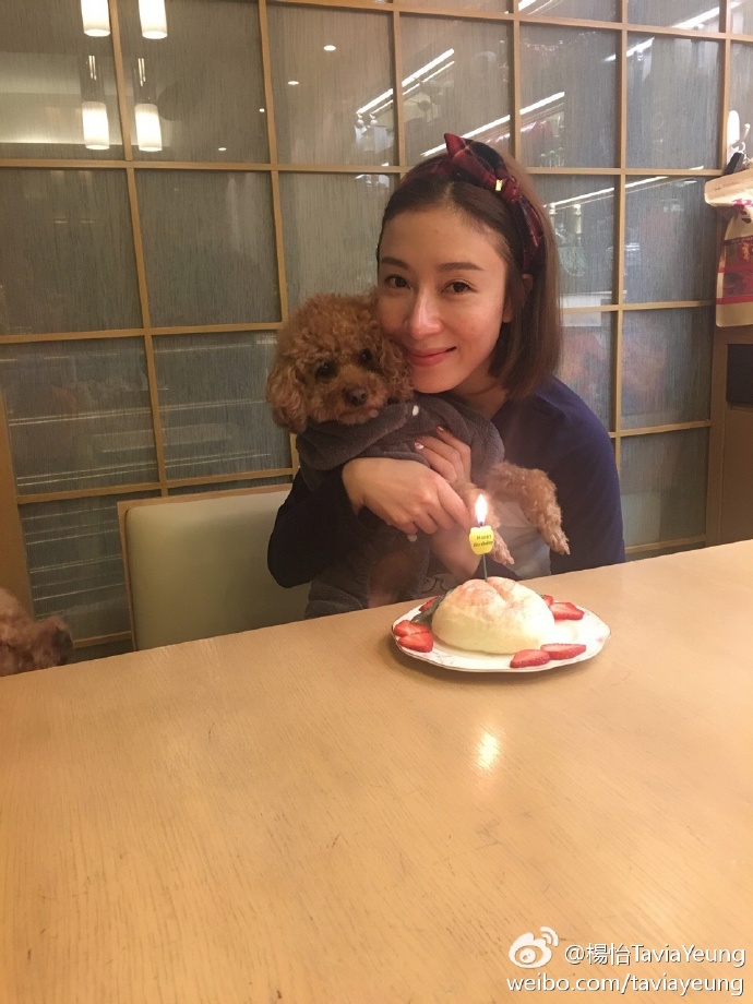 tvb历届当红小生今昔对比,tvb演员现状有多惨