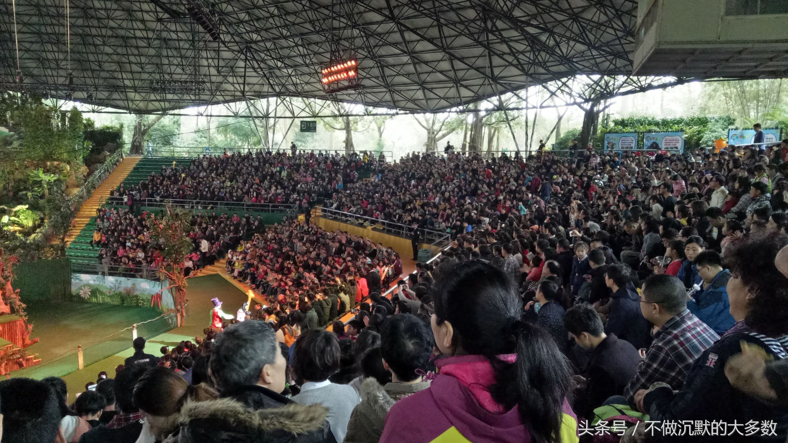 广州长隆野生动物园金蛇秘境直播,长隆野生动物园金蛇秘境害怕吗
