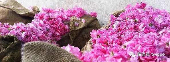 最适合春天的香水,适合春天留香较久的女性香水