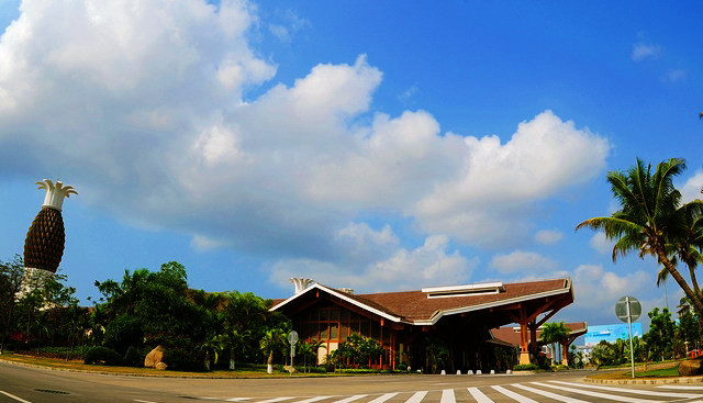 一次说走就走的旅游海南三亚,一次说走就走说回就回的旅行