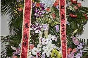 日本最火的综艺,王俊凯在日本综艺