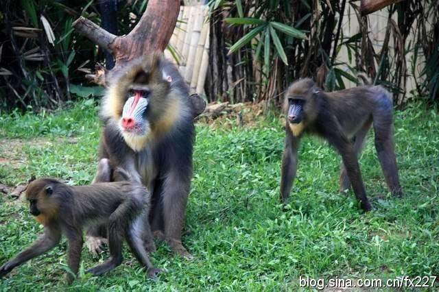 你只是一个人，因为你不会这些“撩妹”神技能