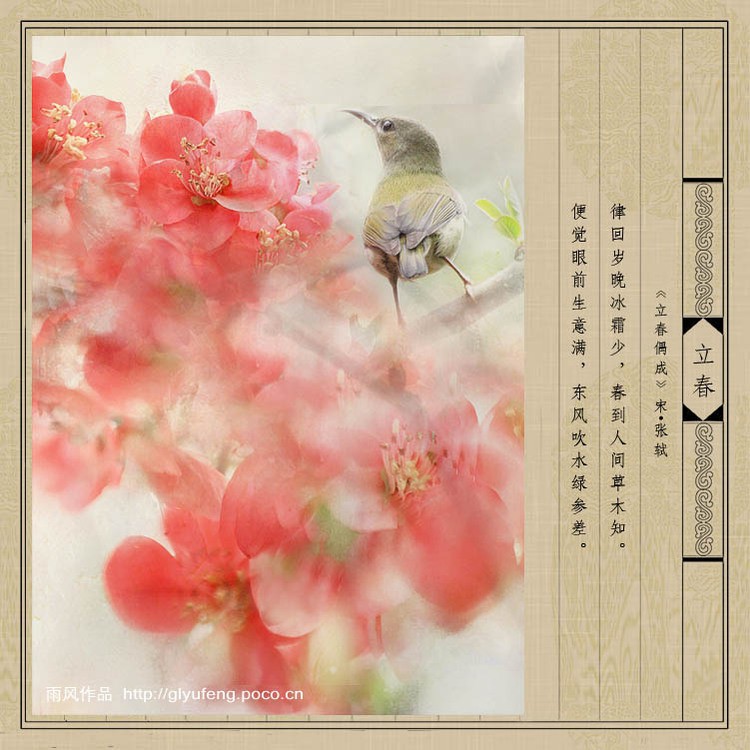 立春节气早安图片,立春美景图