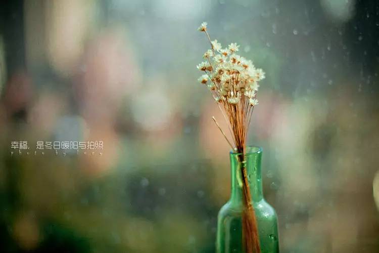 立春节气早安图片,立春美景图