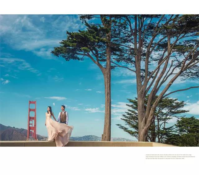 破釜沉舟抢滩全球旅拍业放弃绿卡为让新人享受优质旅婚时尚大片