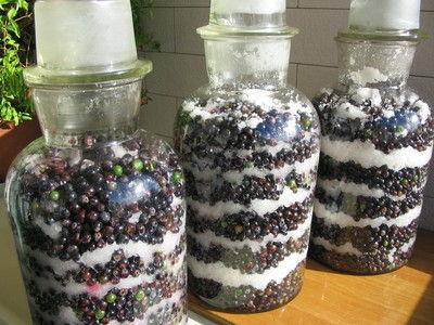 红葡萄酒的酿制方法视频,自制红葡萄酒的酿制方法