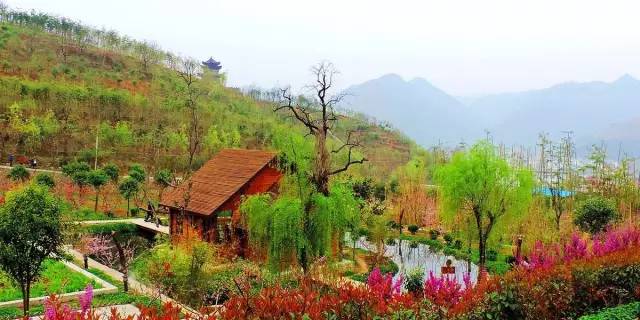 城南客运站旅游直通车,西安城南旅游班线