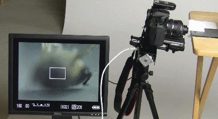 超级微距35倍,能用软件实现超级微距吗