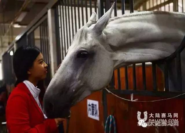 奥运冠军马术女骑手,马术运动员夺冠