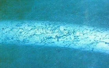 翡翠的abcd货的基本鉴定特征,如何鉴别b货翡翠和天然翡翠