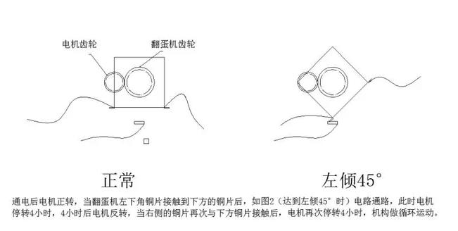 说出来你可能不信我是什么意思,说出来你可能不信是什么意思