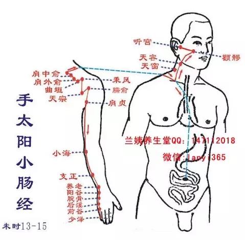经络调理秘诀小程序,经络治百病