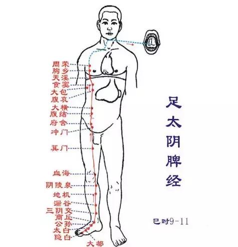 经络调理秘诀小程序,经络治百病