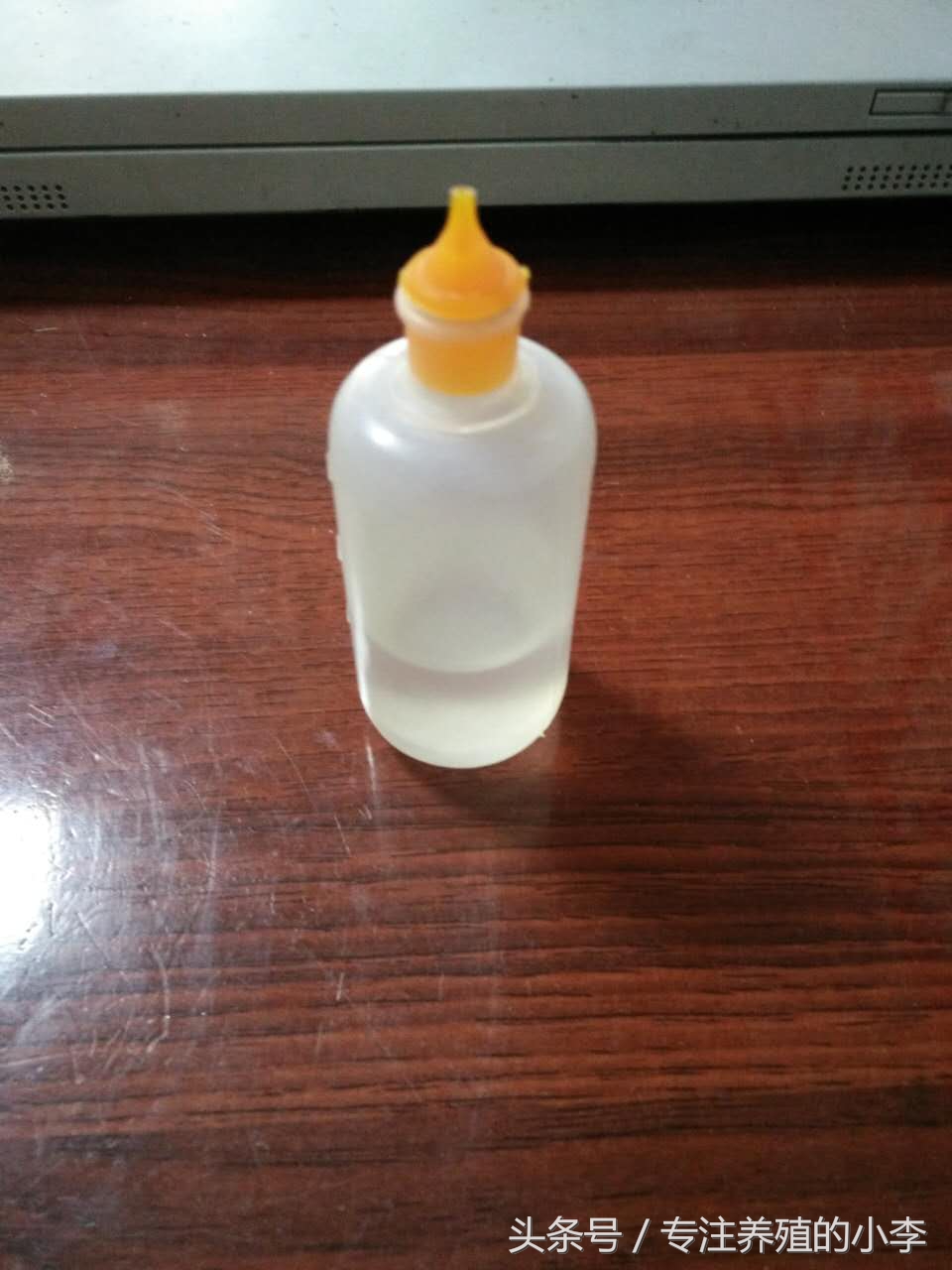 鸡瘟不可怕掌握以下5点,防止鸡瘟给鸡吃什么好