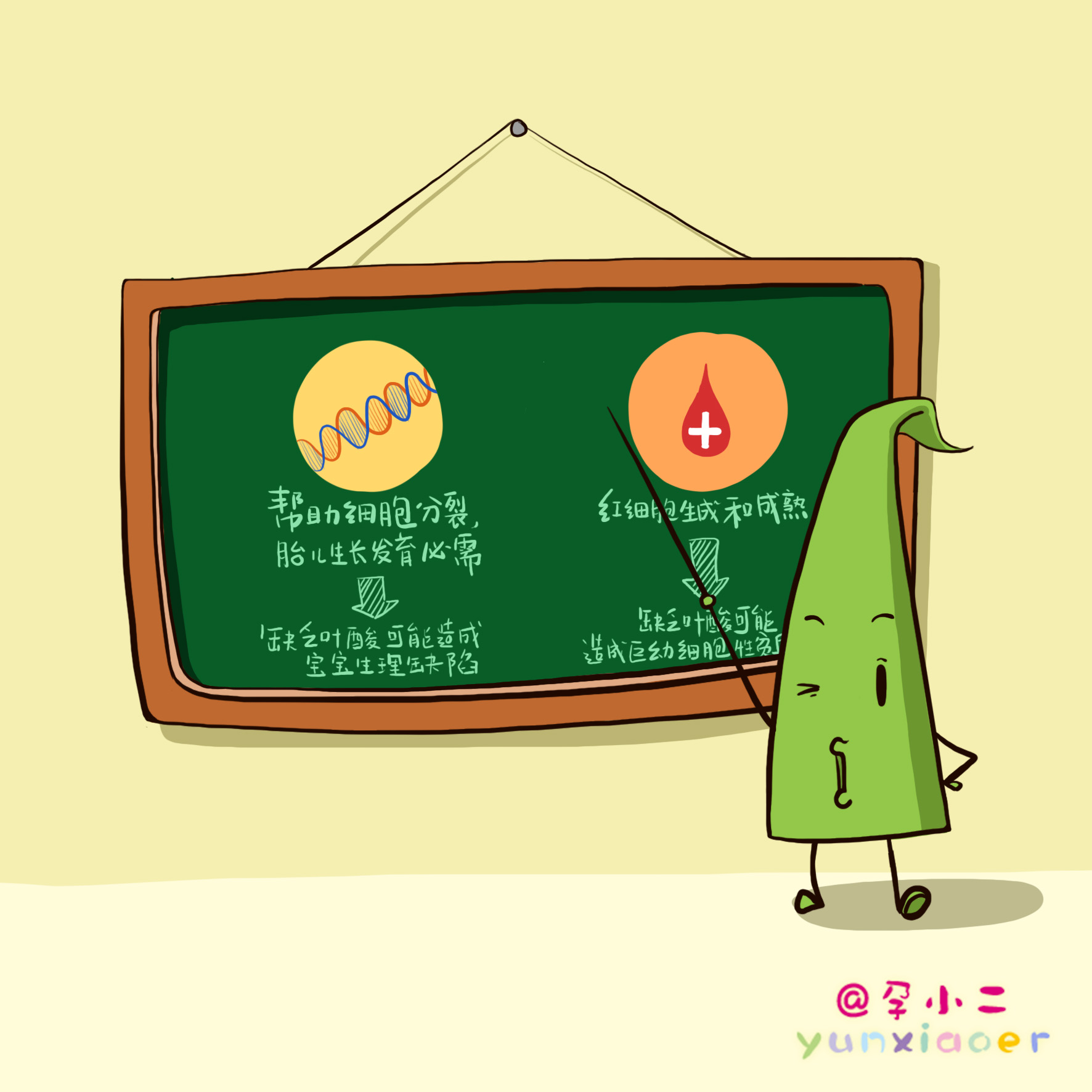 有过流产史的再次备孕如何补叶酸,备孕男性要不要补叶酸