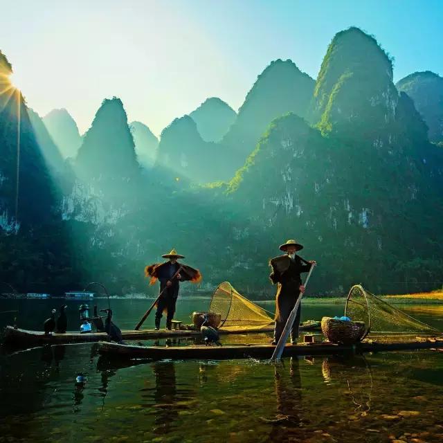 漓江上的渔鹰兄弟同弧悦黑坑上演怎样的故事？