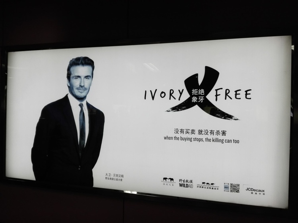 鍦颁腑娴锋境瀹濊泲鐧界煶鏄櫧鑹插悧,鍦颁腑娴锋境瀹濊泲鐧界煶钃濊壊